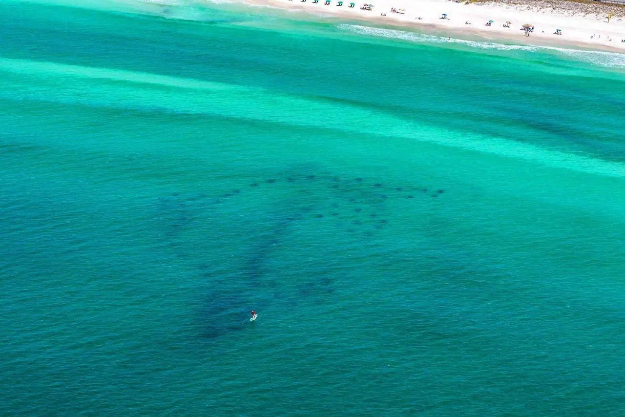 Leeward Key 405 Villa Destin USA